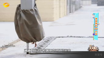 蘇州火了 3d打印的房子真的來(lái)了,三天就能建一套