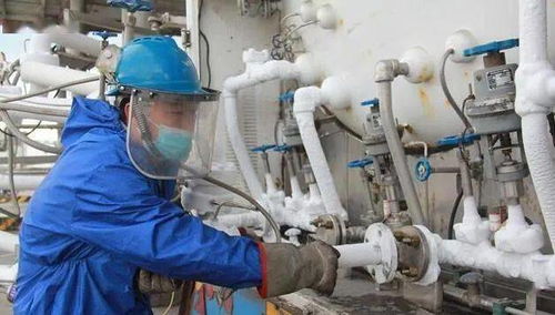 再出發(fā) 新疆規(guī)上企業(yè)開足馬力忙生產